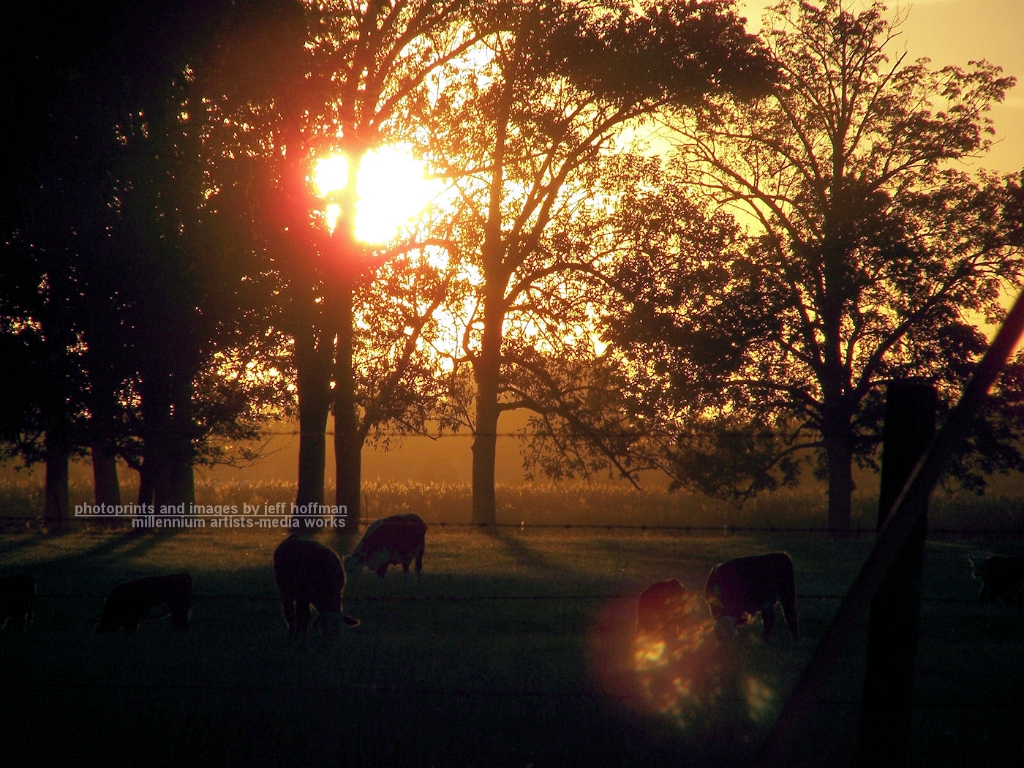 9-16-07 home 002